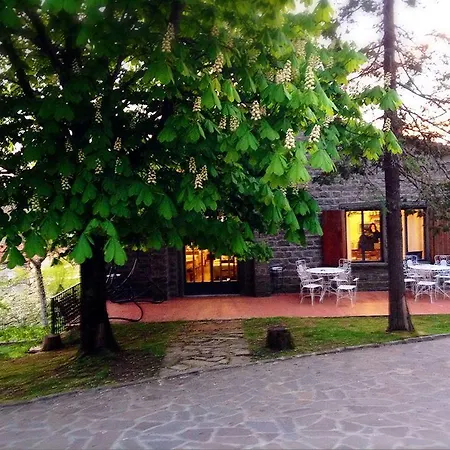 Albergo Ristorante Letizia-2